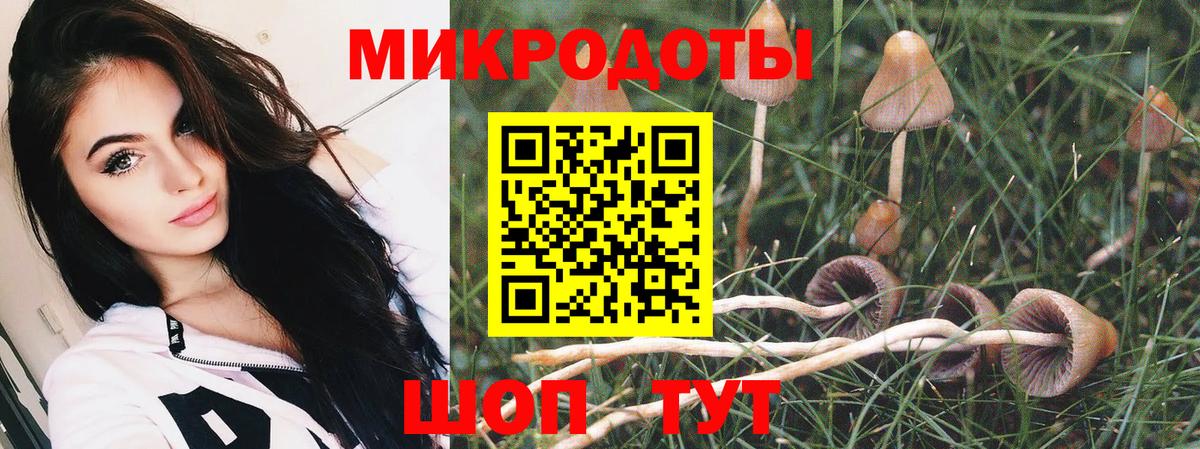 где можно купить   Галлюциногенные грибы GOLDEN TEACHER  Вход с VPN  Киселёвск 